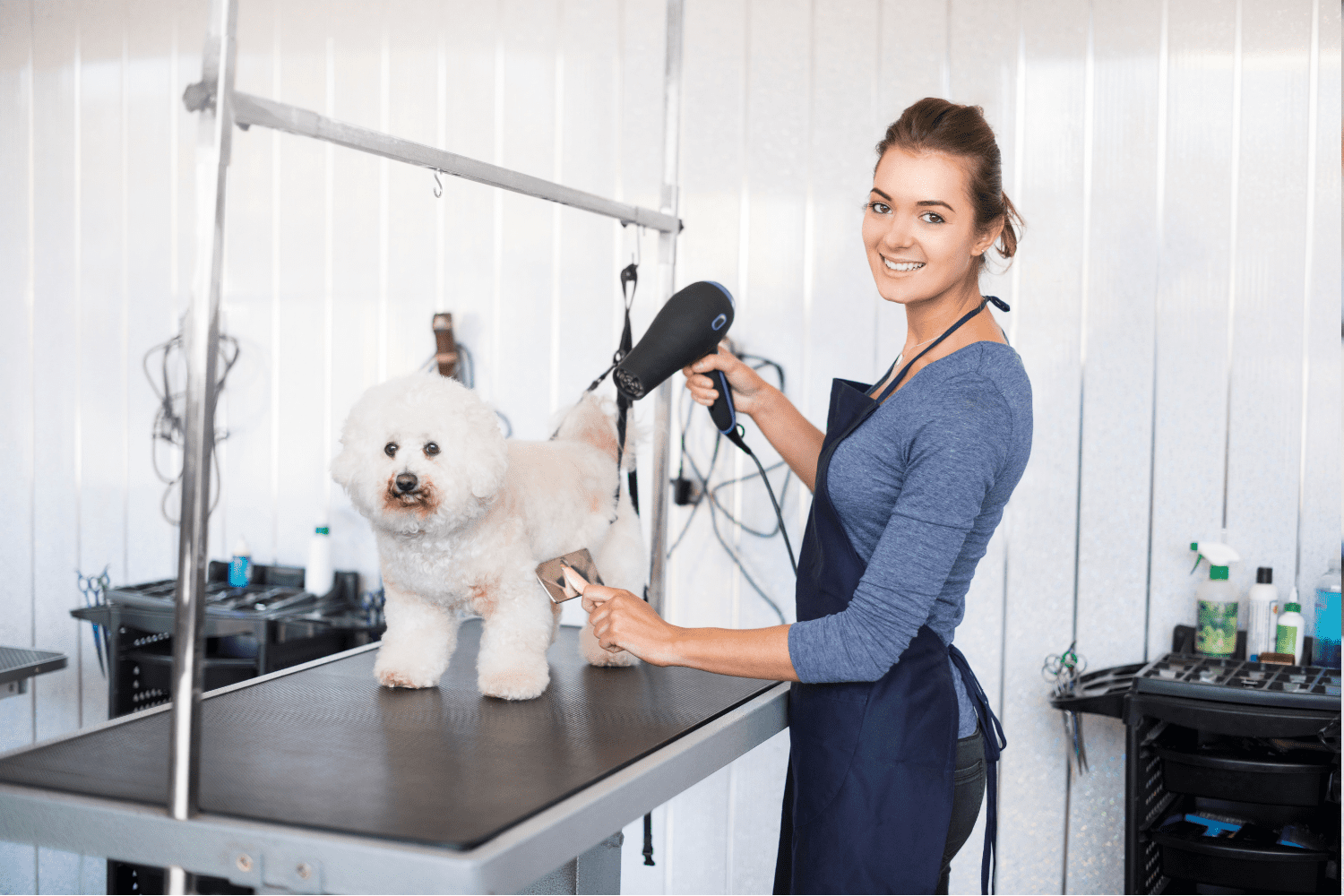 Benefits of Pet Grooming Certification
